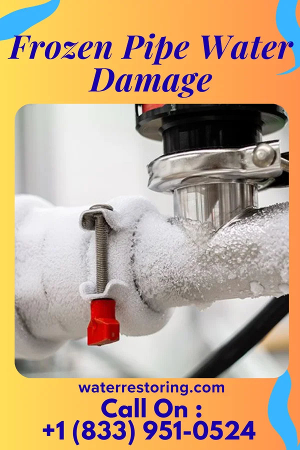 Frozen Pipe Water Damage in Naplate, IL
